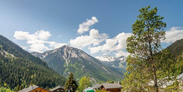 Apartements LE GRAND BOUQUETIN - Plagne - Champagny en Vanoise