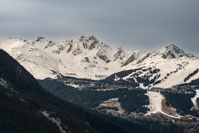 Apartements LE GRAND BOUQUETIN - Plagne - Champagny en Vanoise