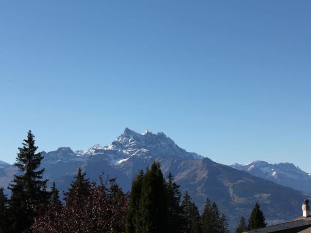 Châlet Rose des Vents 4 - Villars - sur - Ollons