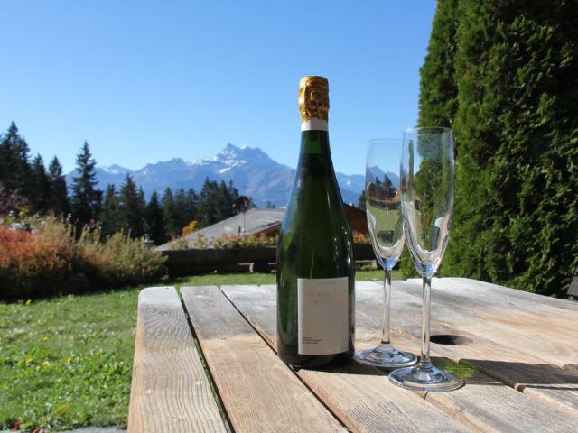 Châlet Rose des Vents 4 - Villars - sur - Ollons