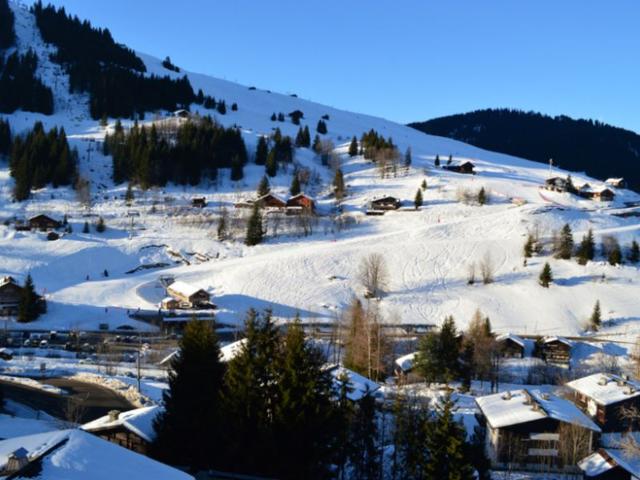 CHALET LE TOPPI - La Clusaz