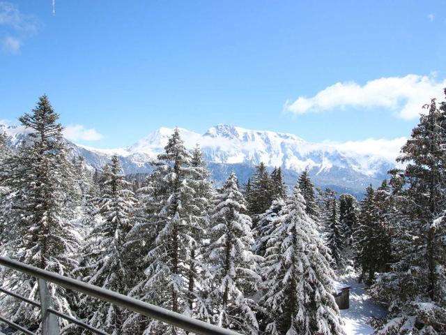 Résidence ECRIN DES NEIGES BAT.C - Chamrousse