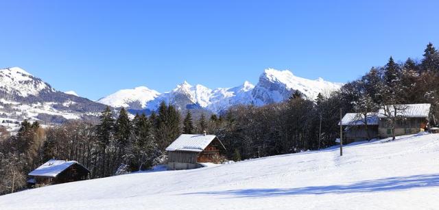 Studio Grand Morillon N°104 - ST4 - Morillon 1100 Les Esserts