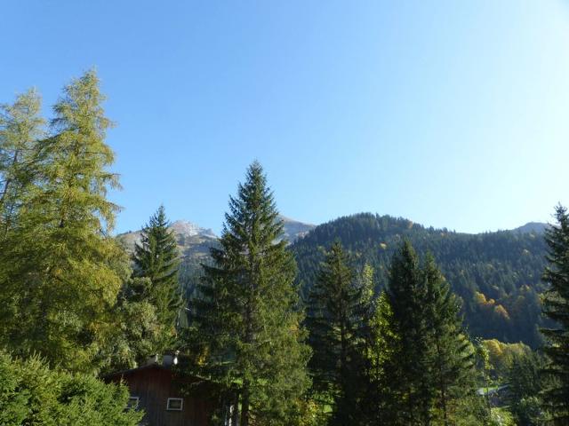 Résidence LA GRANDE TORCHE - La Clusaz
