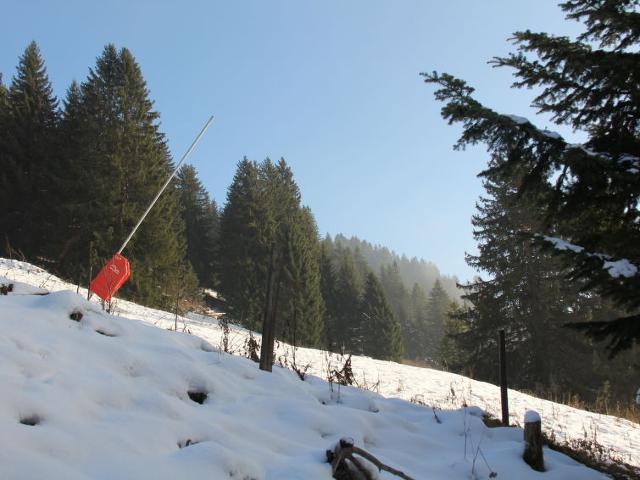 Châlet Athena 6 - Villars - sur - Ollons