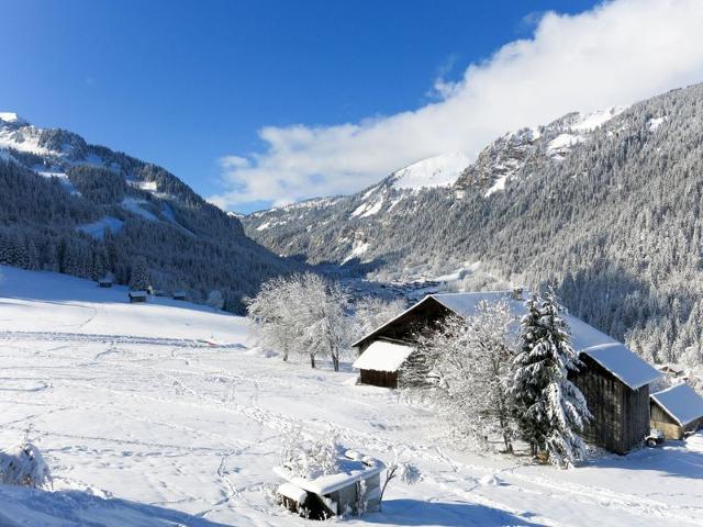Apartment Le Grand Lodge - Châtel