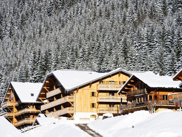 Apartment Le Grand Ermitage - Châtel