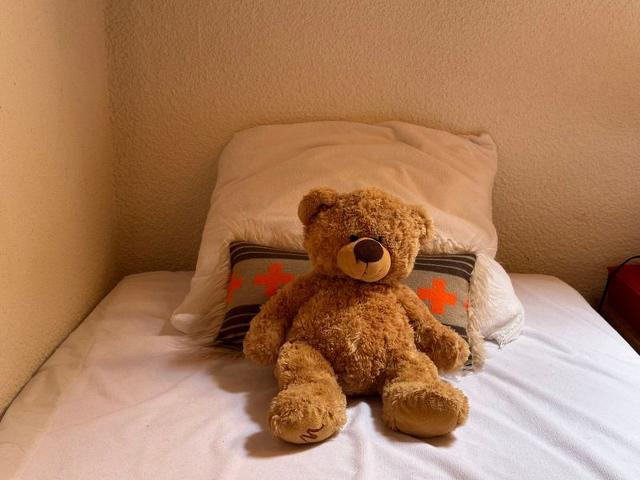 Résidence CHALET DU PRAZ BAT B2 - Morillon Village