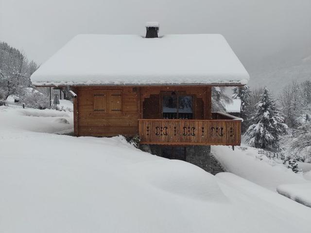 CHALET LES LUPINS - Morillon Village