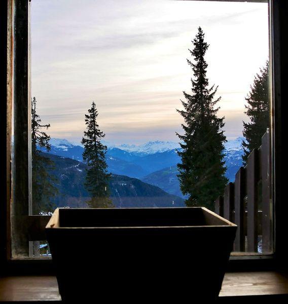 Les Bouquetins A BA119 - La Rosière