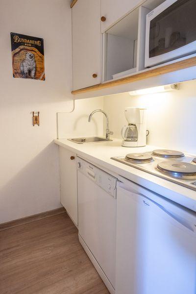 Apartements OURS BLANC - Alpe d'Huez