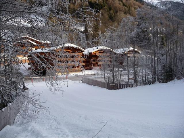 Apartements LE VIEUX MOULIN - Morzine
