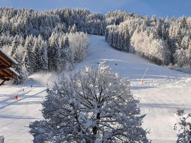 Studio near center and slopes for 4 pers. in Morzine FR-1-684-63 - Morzine