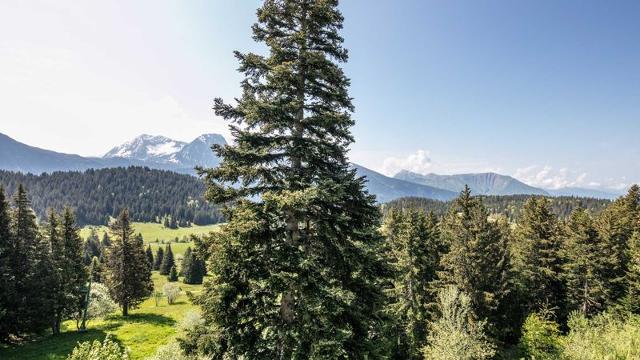 Apartements V du Bachat Sorbiers E N°32 - 2P6 - Chamrousse