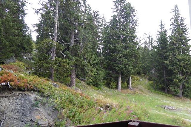 Les Bouquetins A BA104 - La Rosière