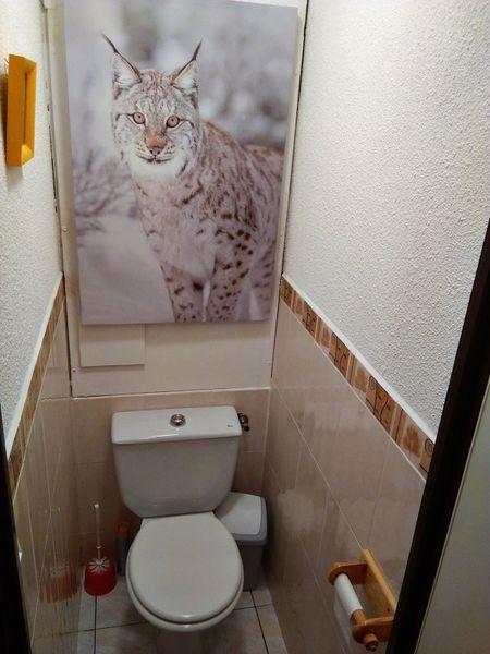 Les Bouquetins A BA109 - La Rosière