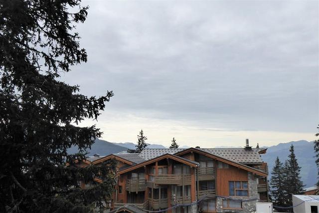 Les Bouquetins A BA109 - La Rosière