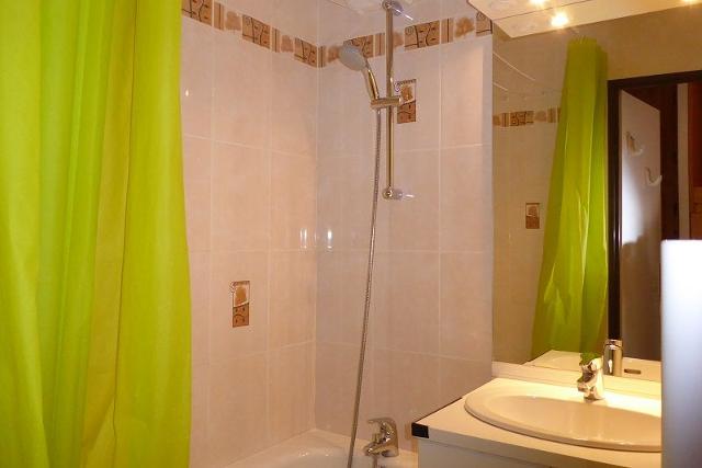 Les Bouquetins A BA109 - La Rosière