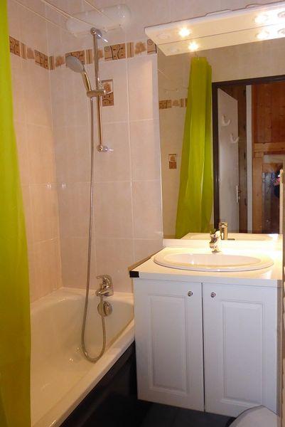 Les Bouquetins A BA109 - La Rosière