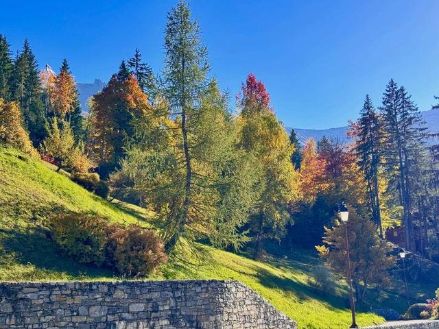 Appartment Cheval Noir CHN09HOD - Valmorel