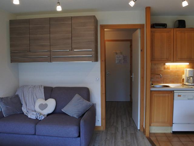 Studio Morzine, studio flat, 4 persons - Morzine