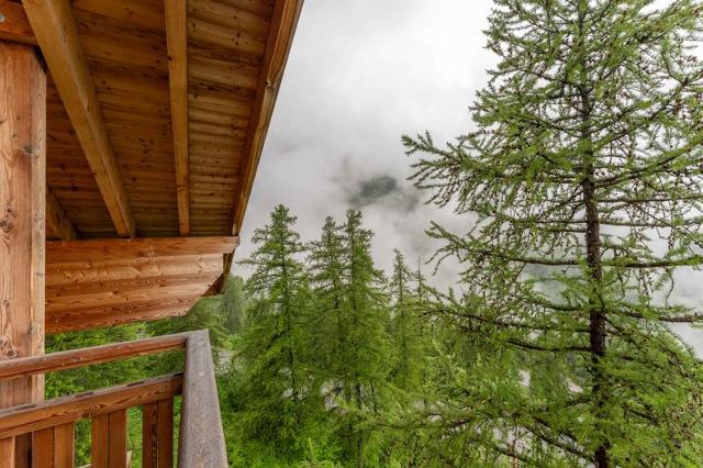 Apartements LE BALCON DES AIRELLES - Les Orres