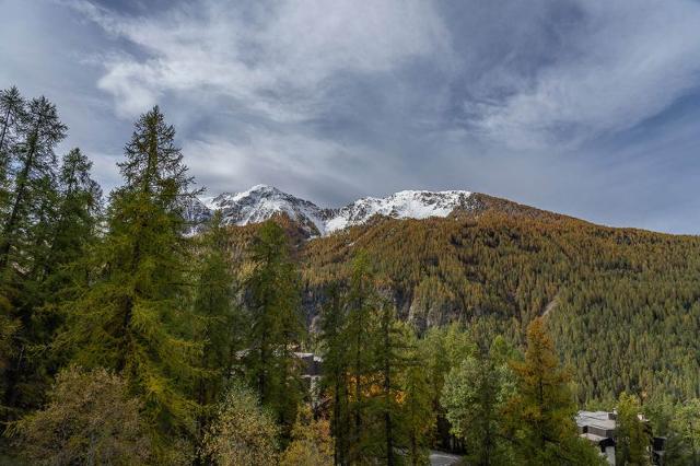Apartements LES ECRINS - Les Orres