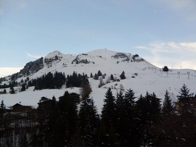 Charming 1-Bed Apartment Near Chinaillon Center, 400m from Ski Slopes, Pets Welcome FR-1-467-69 - Le Grand Bornand
