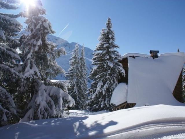 Avoriaz 1BR, ski-in/ski-out, 4 pers, wifi, quiet area FR-1-759-23 - Avoriaz