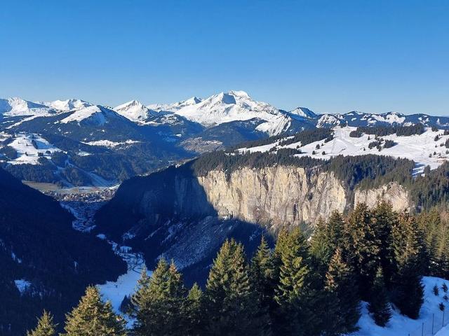 Lovely 1BR apt for 4, balcony, ski-in/ski-out, WIFI included FR-1-759-19 - Avoriaz