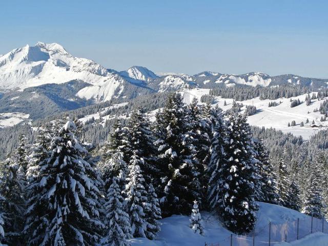 Modern apartment for 6 in Avoriaz with ski-in/ski-out access and WiFi FR-1-759-6 - Avoriaz