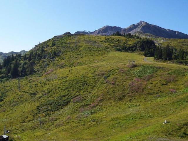 Apartment with balcony, ski-in/ski-out, 4 ppl, Hauts Forts FR-1-759-46 - Avoriaz