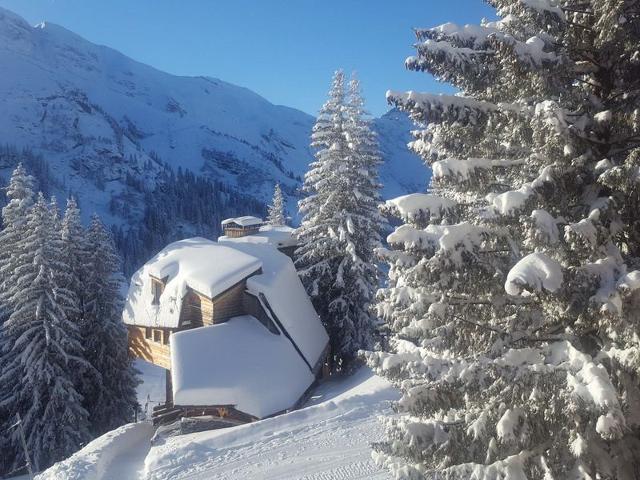 Apartment in Avoriaz 6 pax, 3 rooms, balcony, internet, ski-in/ski-out FR-1-759-49 - Avoriaz