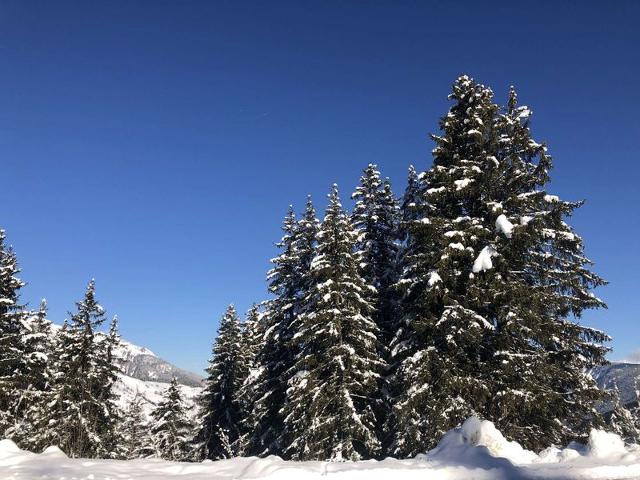 Appartment Cheval Blanc CHBC03DES - Valmorel