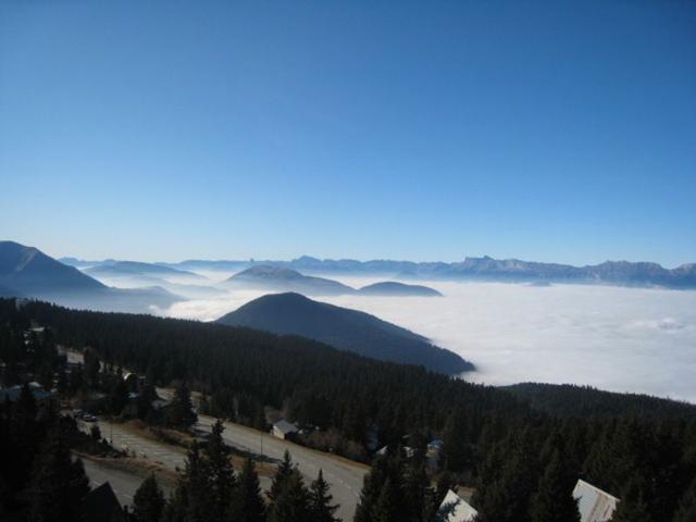 Résidence LES AROLLES - Chamrousse