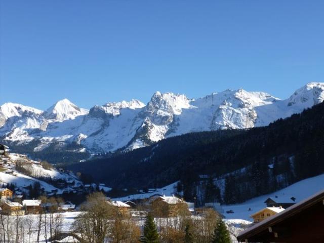 Apartment for 6 near slopes, parking FR-1-467-94 - Le Grand Bornand