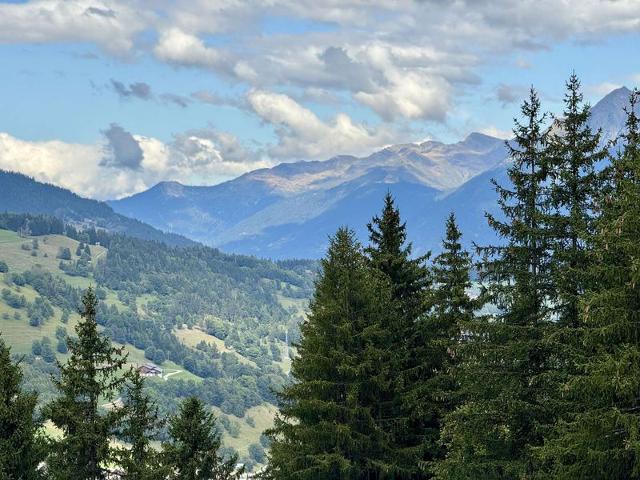 Appartment Pierrer PIER32ZIM - Valmorel