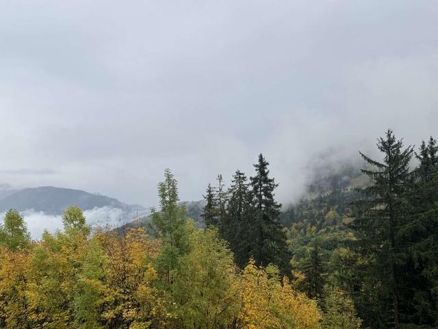 Appartment Ruisseau RUIS25DAR - Valmorel