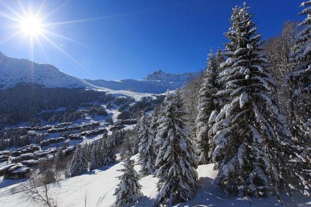 Appartment Valeriane VAL214BET - Valmorel