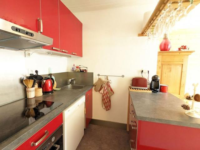 Charming 1BR Apartment in Village Center, Close to Ski Lifts and Amenities FR-1-459-215 - La Clusaz