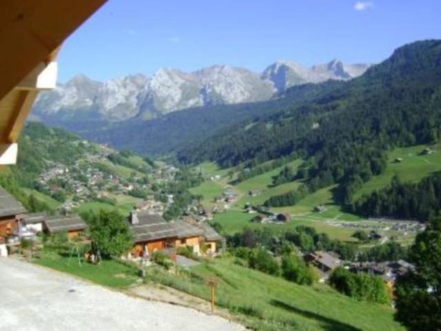 Spacious chalet for 10 people with parking and pets allowed FR-1-467-71 - Le Grand Bornand