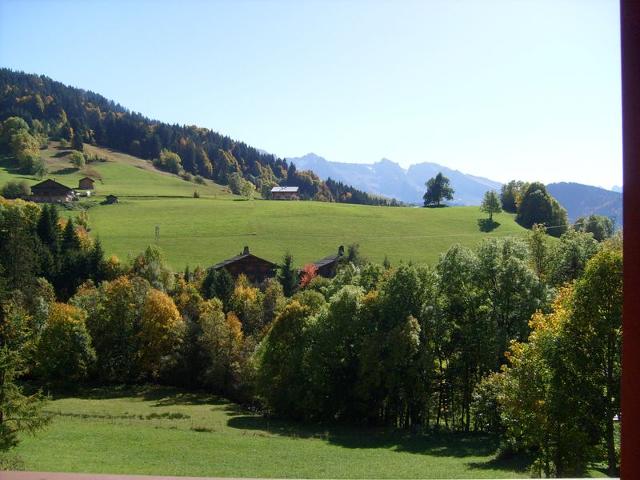 Spacious Savoyard chalet apt, equipped kitchen, 4 bedrooms, 2 baths, Le Chinaillon FR-1-467-60 - Le Grand Bornand