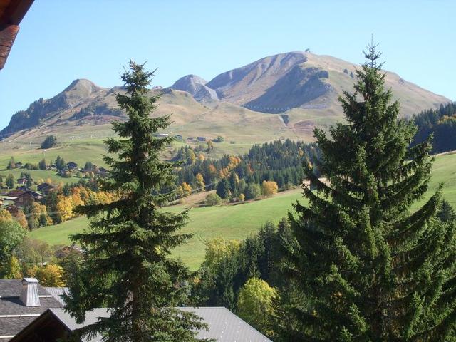 Spacious Savoyard chalet apt, equipped kitchen, 4 bedrooms, 2 baths, Le Chinaillon FR-1-467-60 - Le Grand Bornand