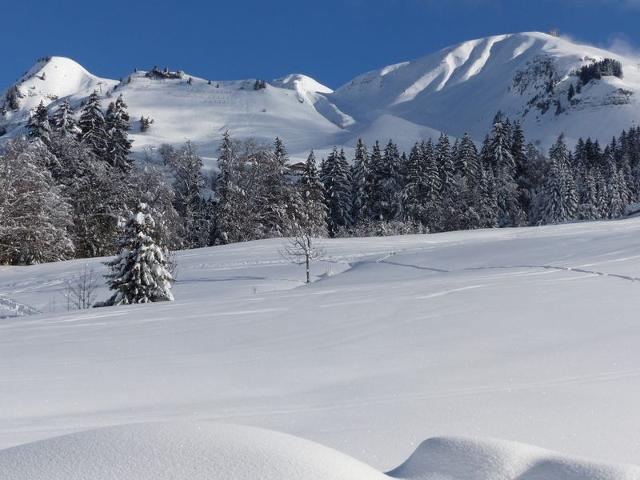 Stunning 4-Star Apartment: Mountain Views, Hot Tub, Near Ski Slopes, Sleeps 10 FR-1-467-100 - Le Grand Bornand