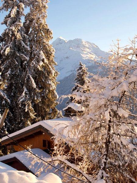 Le Gollet GL032BIS - La Rosière