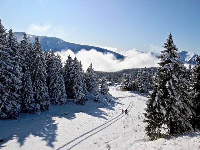 Résidence L'EDELWEISS - Chamrousse