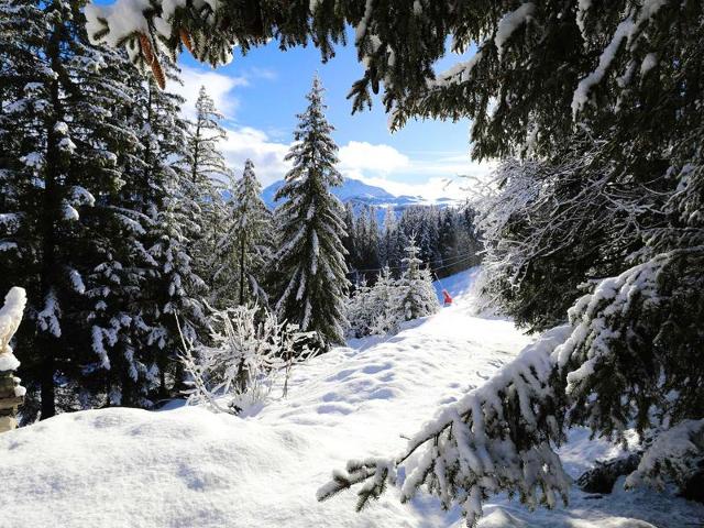 Traditional chalet 6 ppl, ski-in/ski-out, Courchevel 1850, Wi-Fi FR-1-575-212 - Courchevel 1850