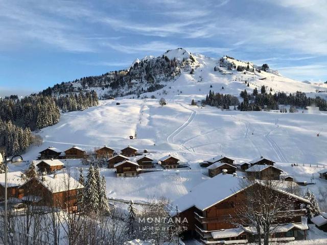 Comfortable Studio with Mountain Area and Garage - 4 ppl - Le Grand-Bornand FR-1-458-190 - Le Grand Bornand