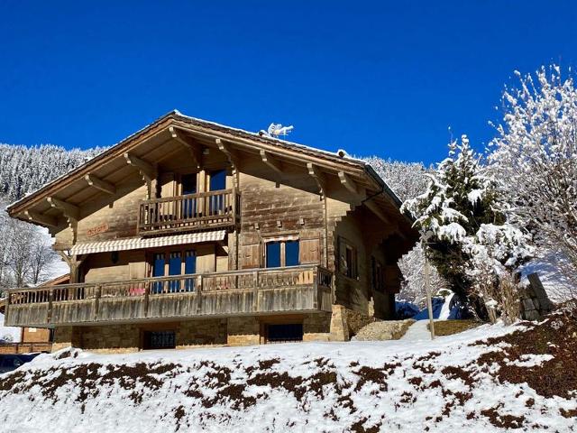 Traditional chalet with double garage and terrace FR-1-459-227 - La Clusaz