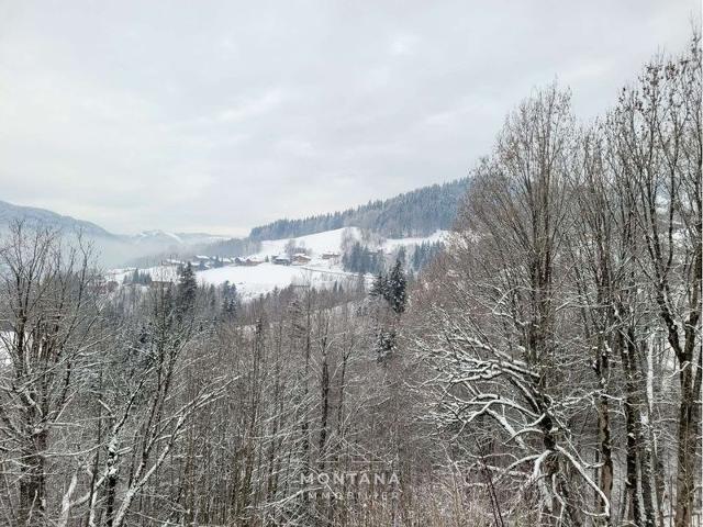 Renovated studio with cabin for 4, quiet in Le Grand-Bornand FR-1-458-199 - Le Grand Bornand